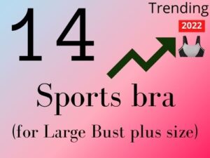 Read more about the article 14 Best Plus size Sports Bra For Large Bust