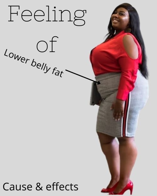 Cause and Effects of Lower Belly Fat