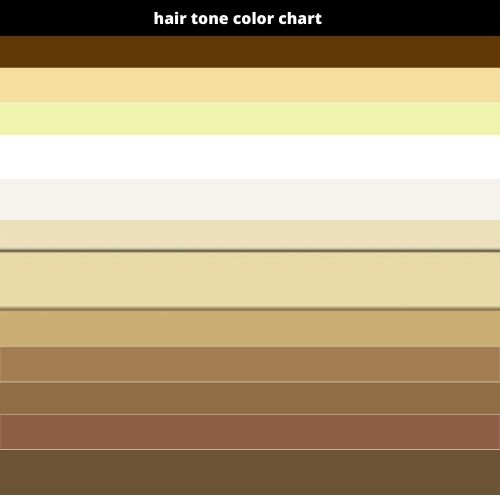 Hair Toner Color Chart