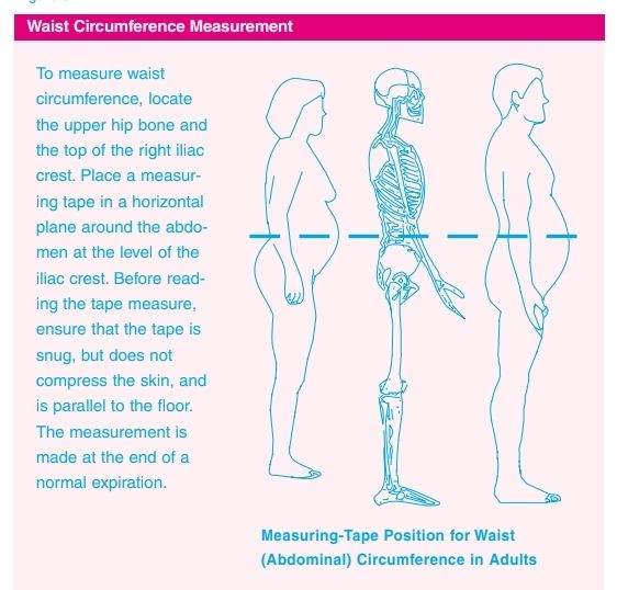 Waist Circumference Measuanment