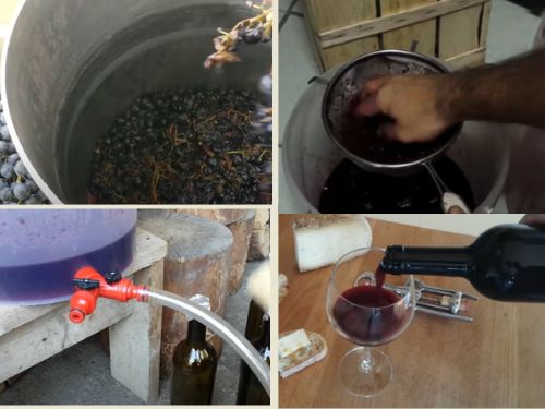 Grapes Seeds By product to make Wine