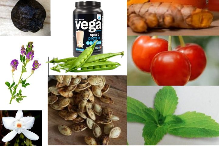 Vega sport premium protein Ingredients